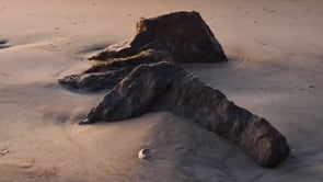 Google Pixel x Justin French