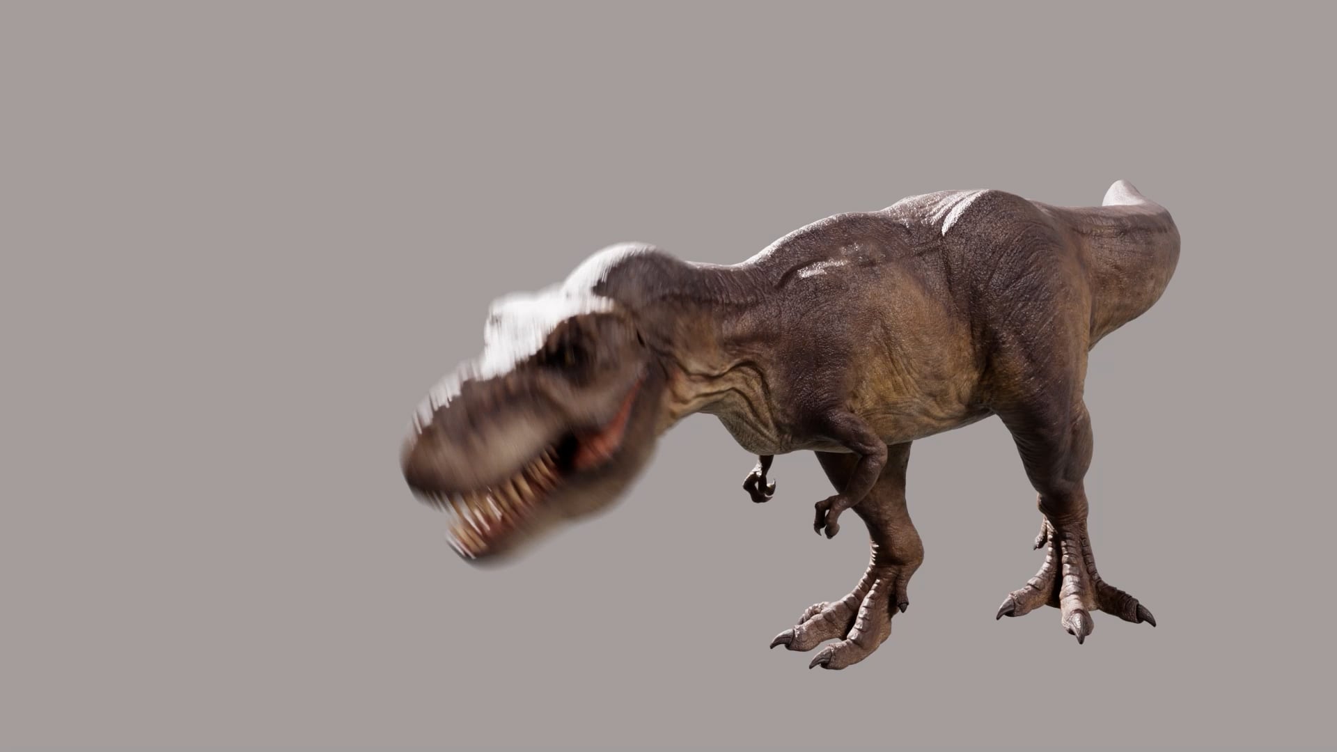 Trex Roar Animation