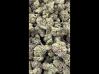Bubblegum Runtz