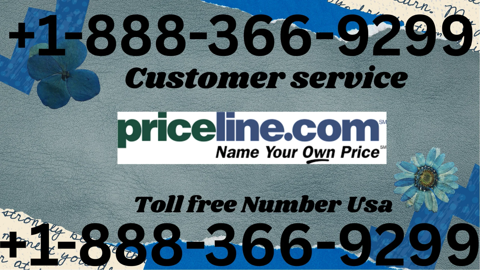 Priceline&reg; Customer Service Complete Guide ➢ Step-by-Step Help & Support 24/7 Priceline