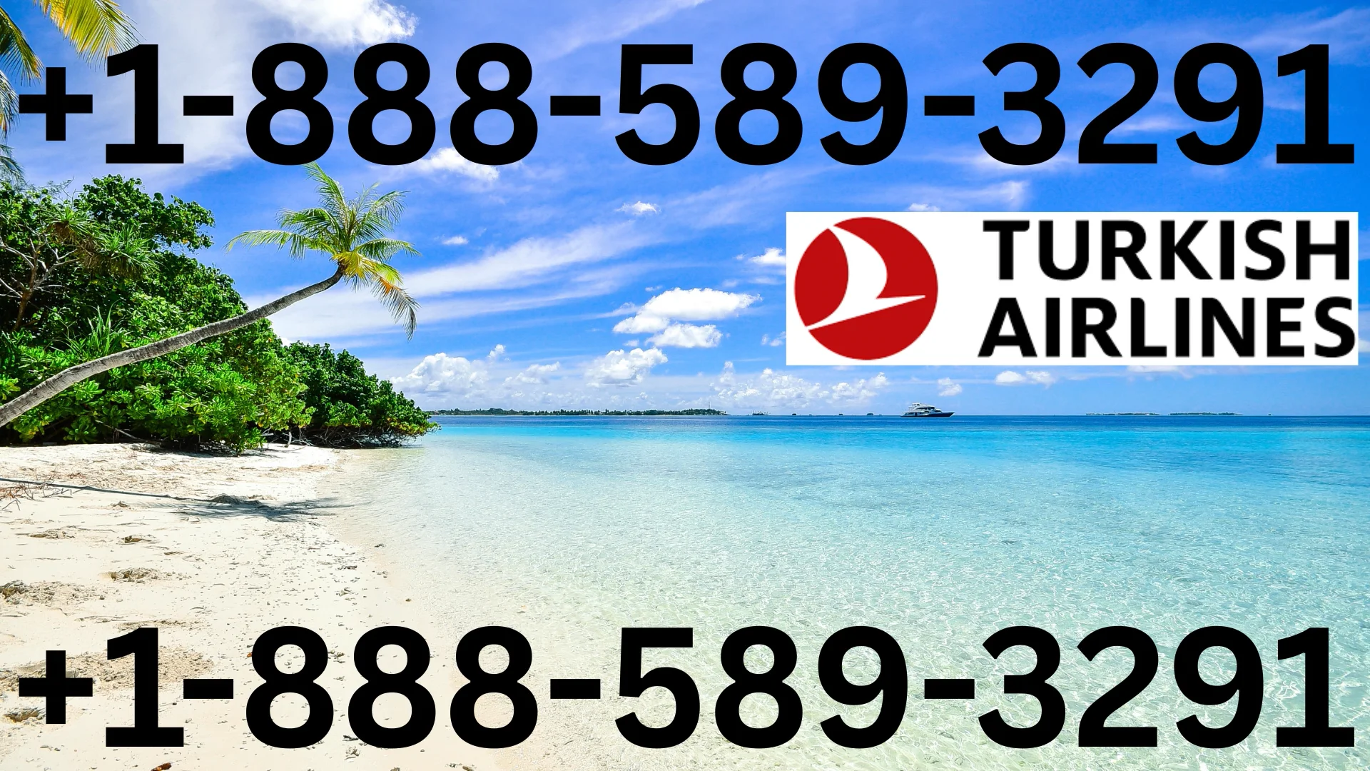 Turkish Airlines&reg; Customer Service Complete Guide ➢ Step-by-Step Help & Support 24/7 Turkish Airlines