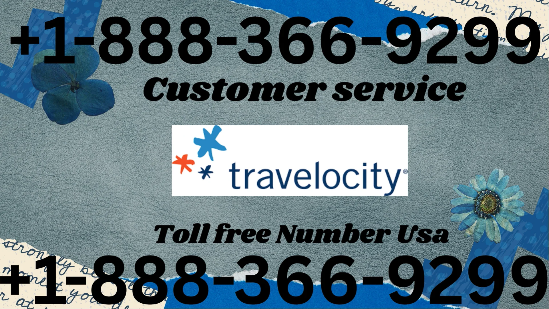 Travelocity (42)