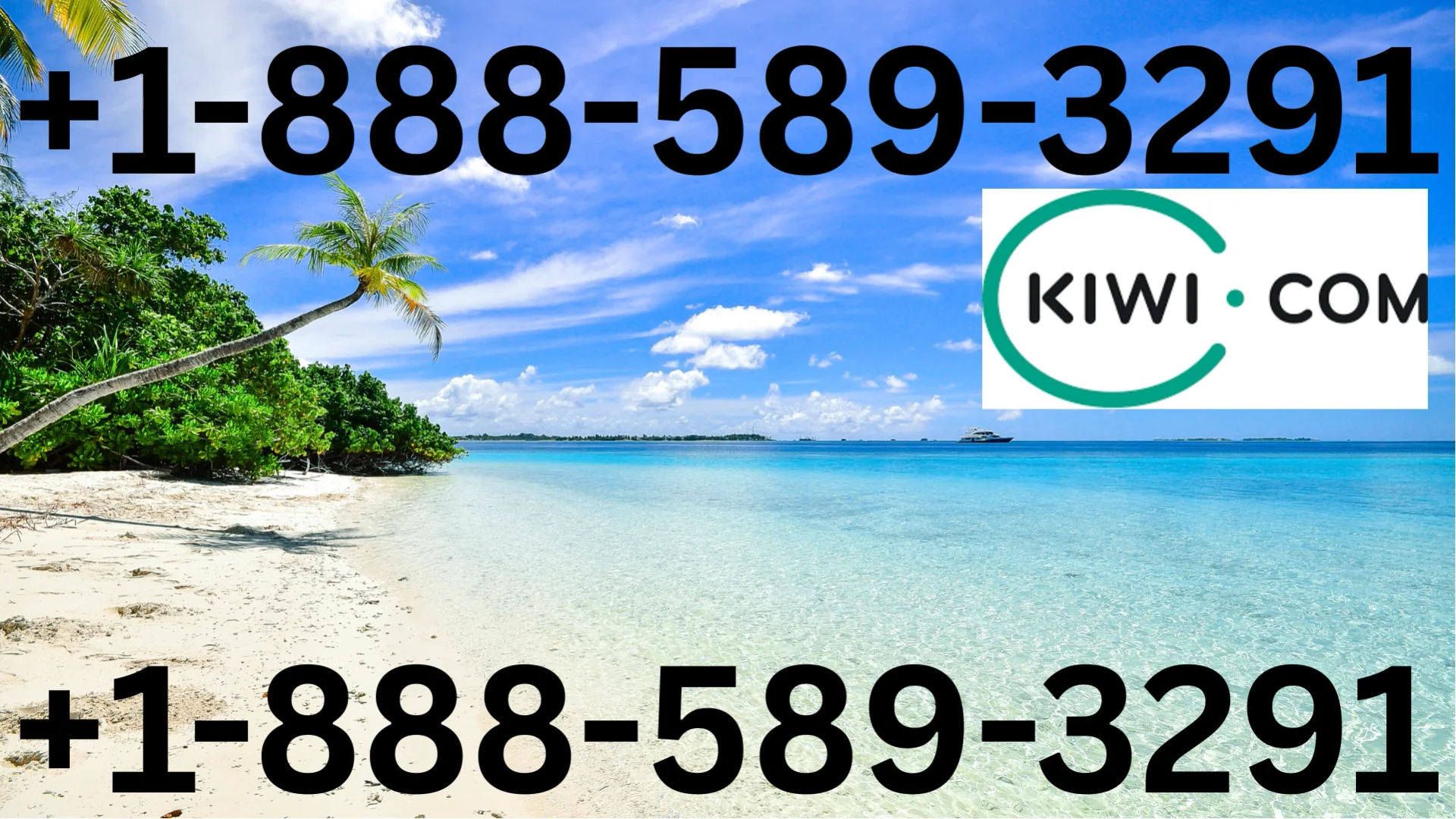 Kiwi.com&trade; Customer Service Official Guide -- Step-by-Step Help & Support & Service for Kiwi.com&trade;