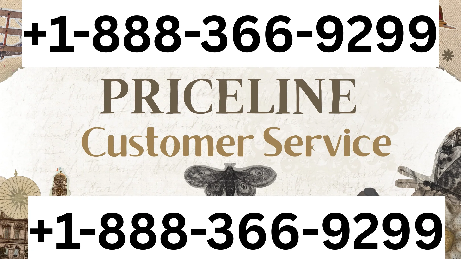 Priceline&reg; Customer Service Complete Guide = Step-by-Step Help & Support 24/7 Priceline