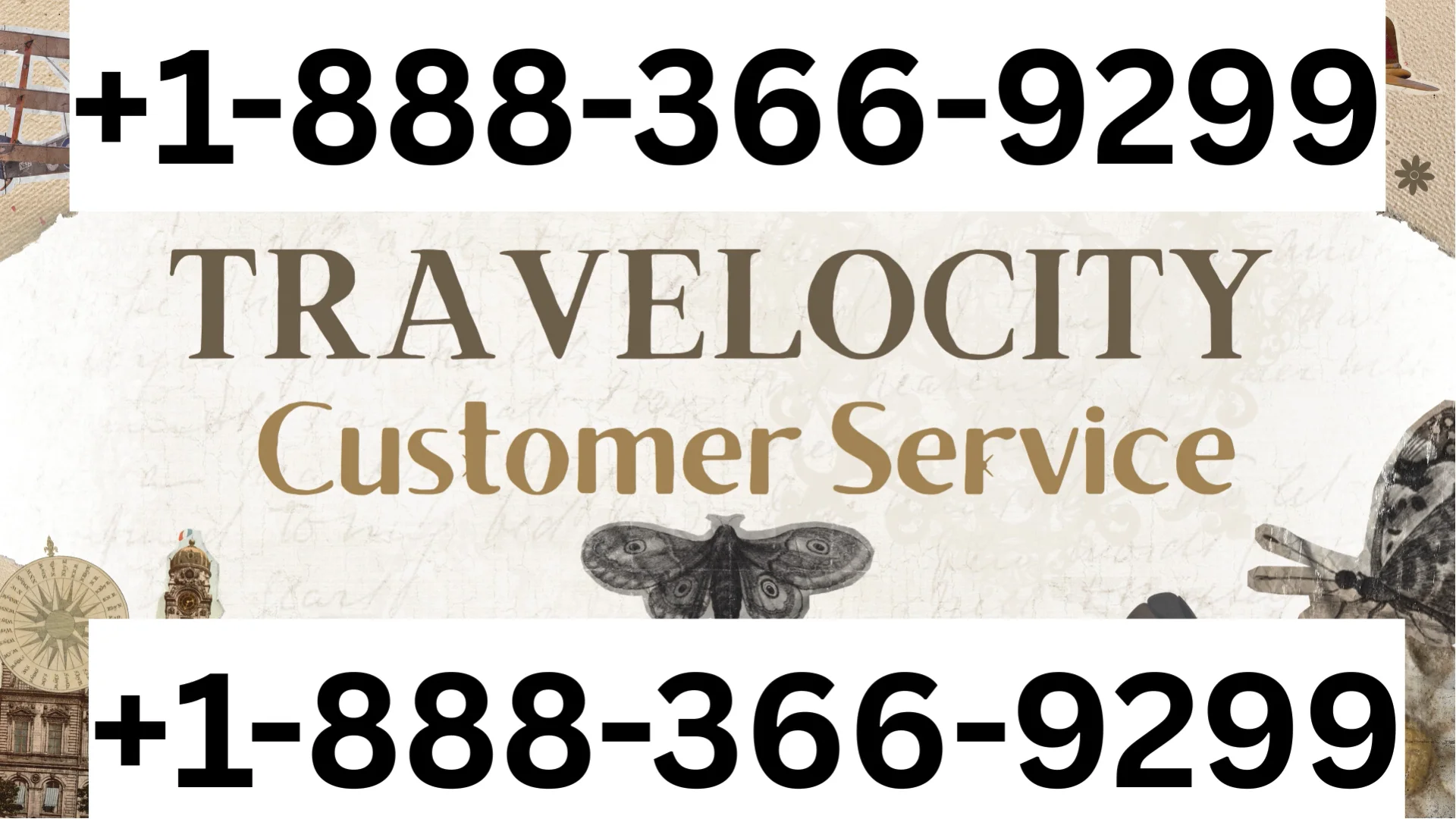 Travelocity&reg; Customer Service Complete Guide = Step-by-Step Help & Support 24/7 Travelocity