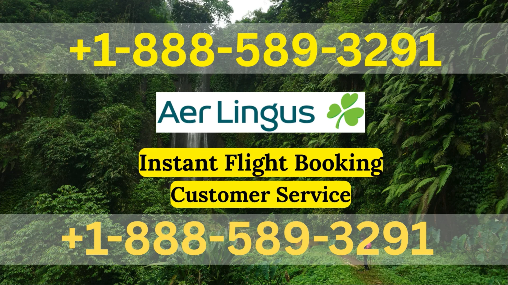 Aer Lingus Airlines&reg; Customer Service Quick Guide Step-by-Step Help & Support 247 Aer Lingus Airlines