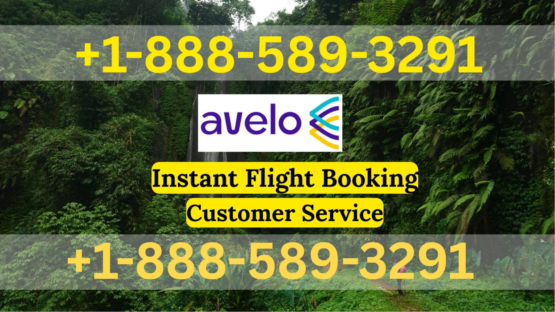 Avelo Airlines Customer Service Toll-Free Number &ndash; Your Complete 24/7