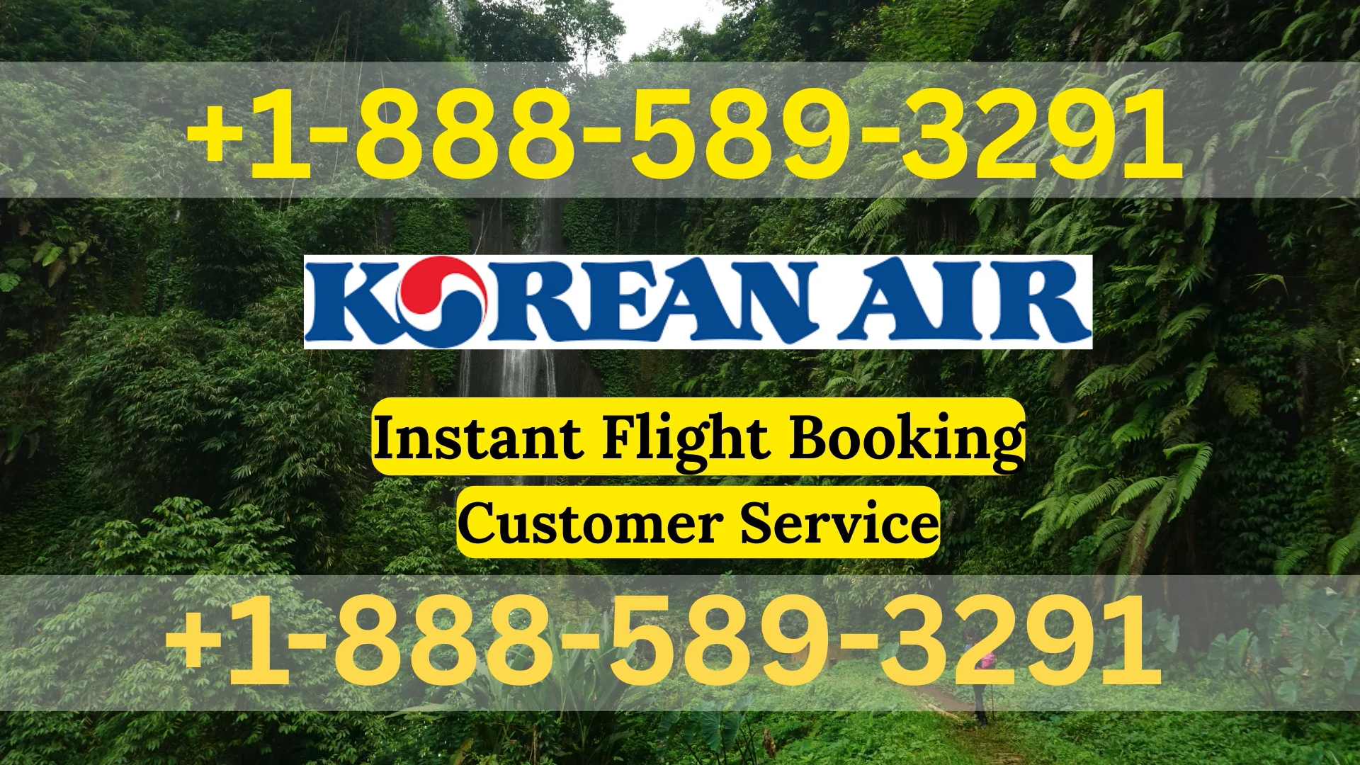 Korean AIr&reg; Customer Service Trusted Guide Step-by-Step Help & Support 247 Korean AIr