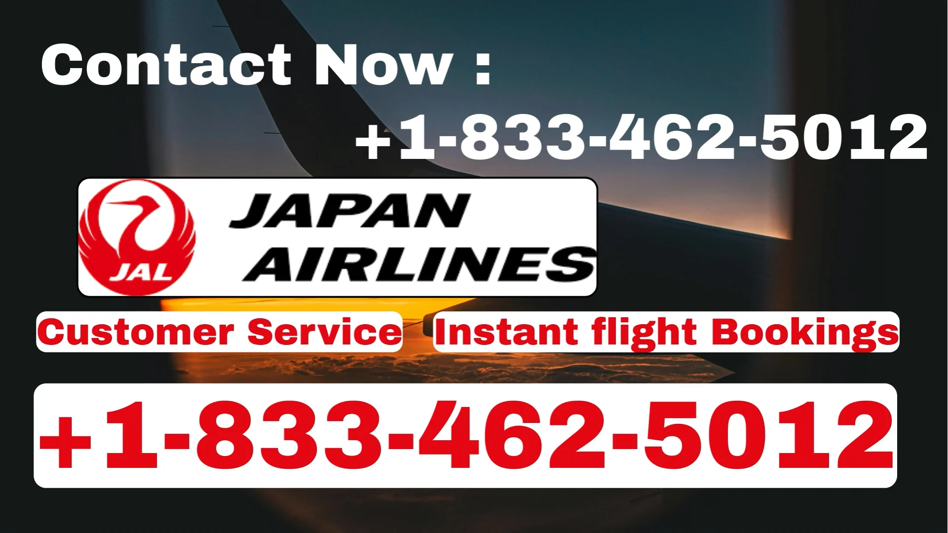 {Call} Japan Airlines&trade;&reg; Customer Service Simple Guide | Step-by-Step Help & Support Explained