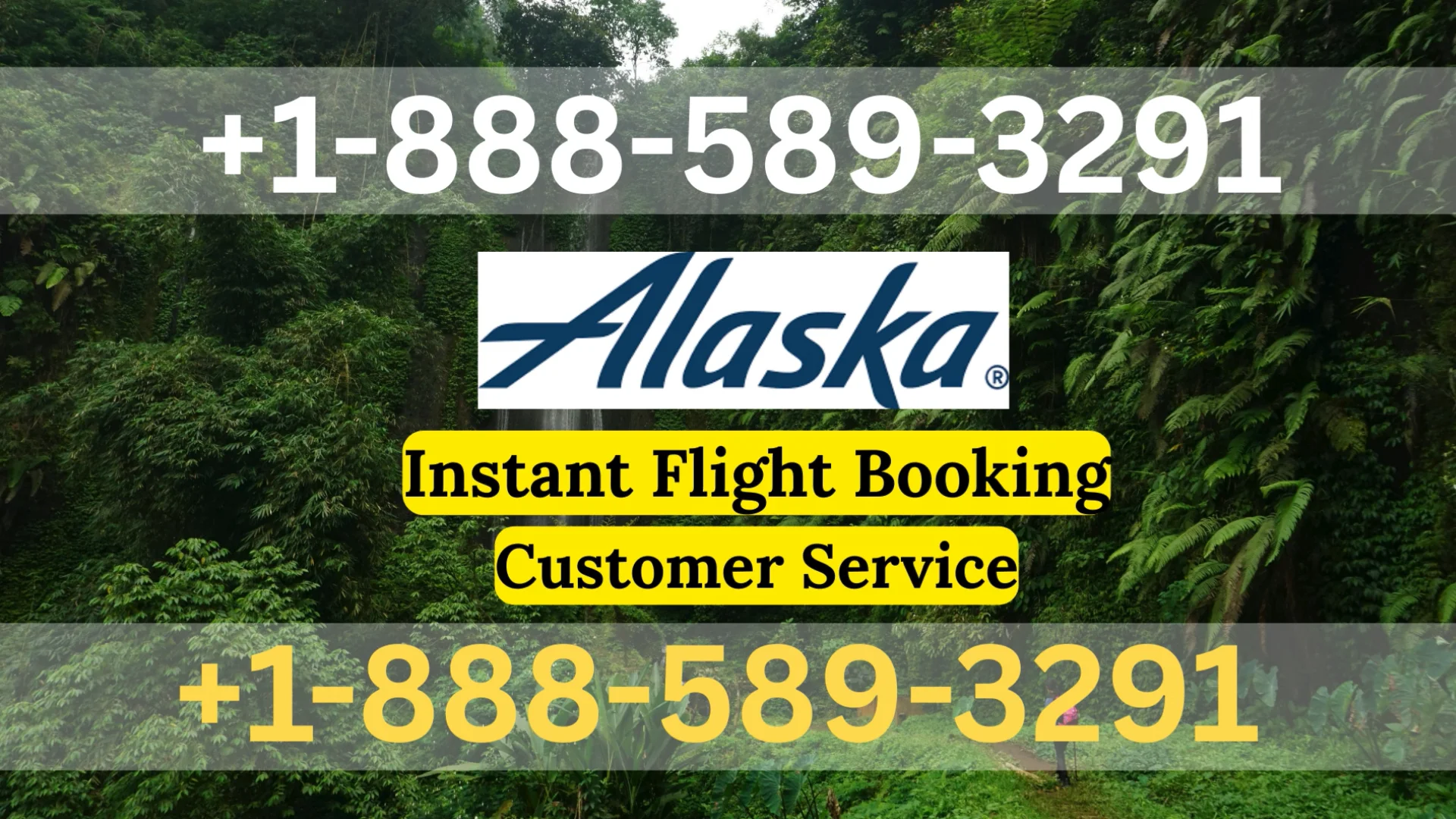 Alaska Airlines&reg; Customer Service Verified Guide Step-by-Step Help & Support 247 Alaska Airlines