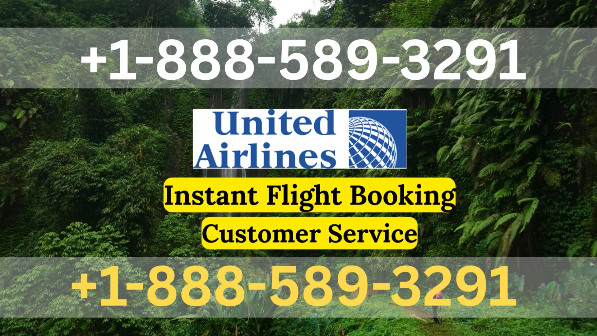 United Airlines&reg; Customer Service Simple Guide Step-by-Step Help & Support 247 United Airlines