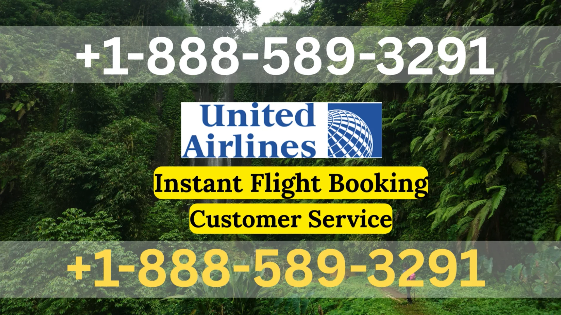 United Airlines Customer Service Toll-Free Number &ndash; Your Complete 24/7