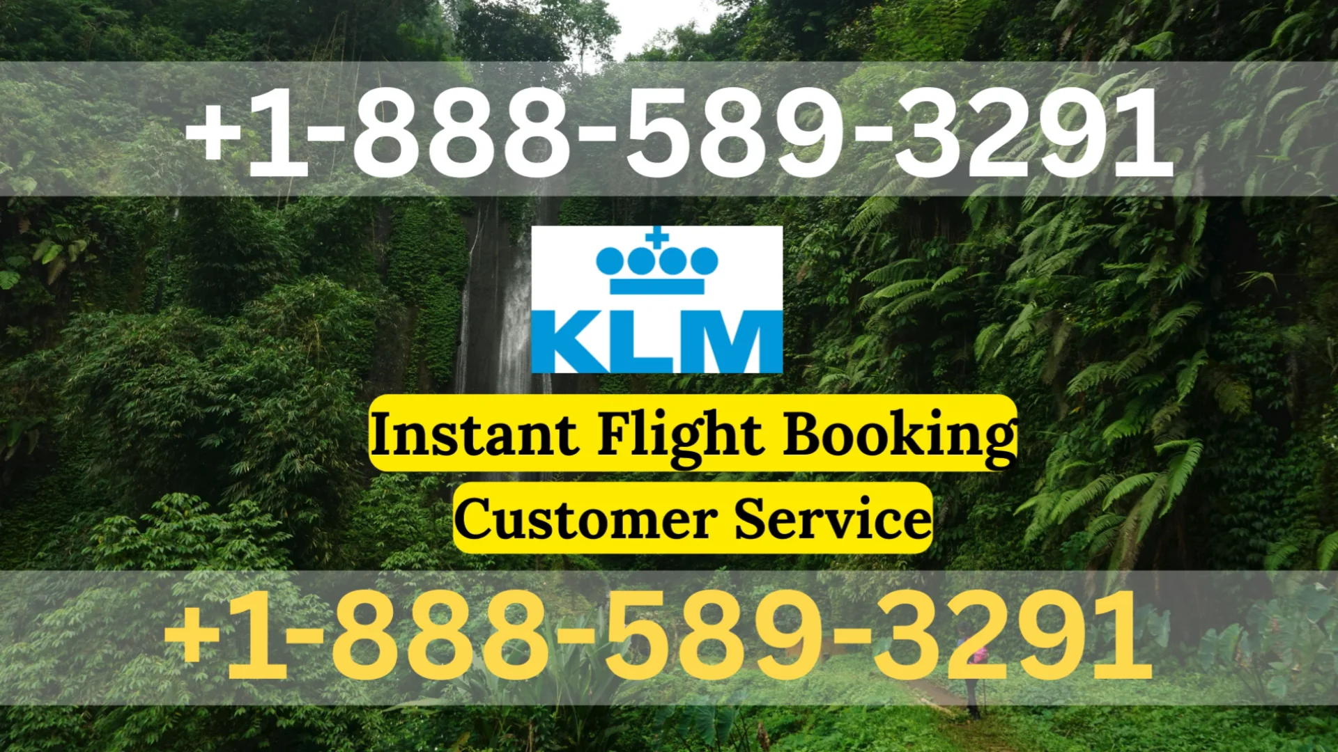 KLM Airlines Customer Service Toll-Free Number &ndash; Your Complete 24/7