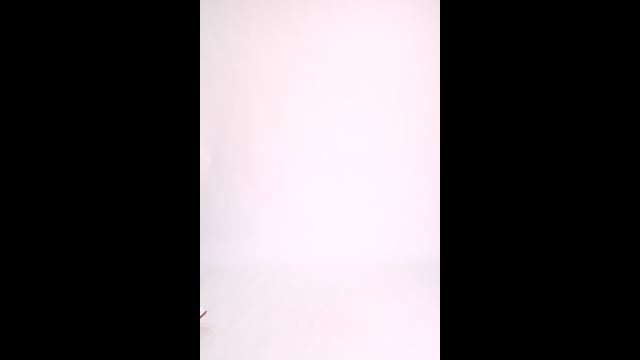 Blusa Gola Redonda Feminina Acinzentado Básica Zen