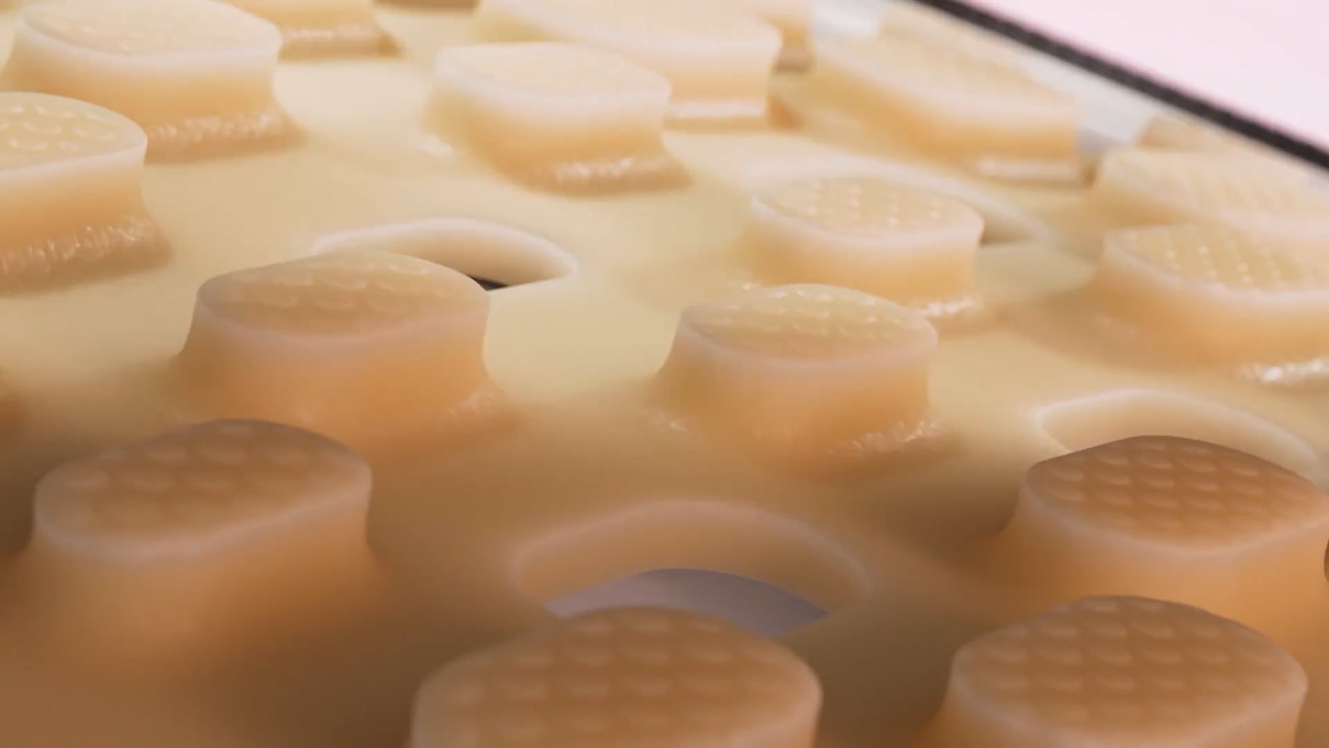 Lululemon Director's Cut