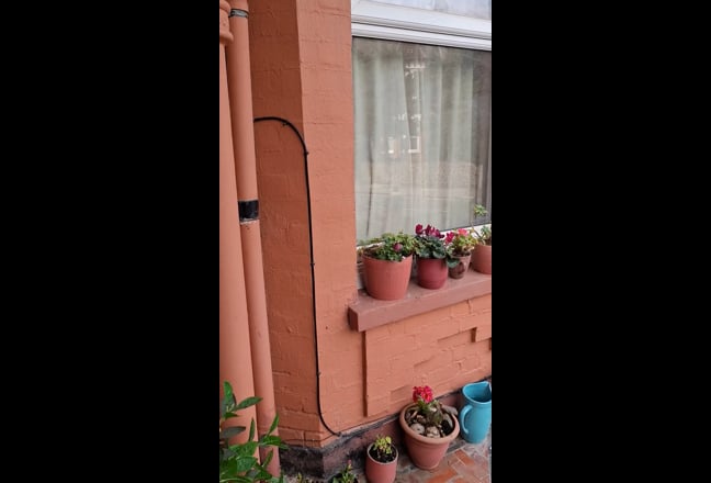 Bright & cosy room in an Edwardian townhouse  Main Photo