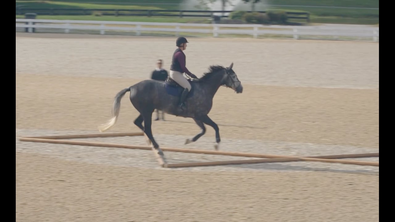 Ronny Riemer: Cantering the Triangle, Common Mistake