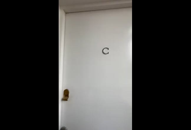 Studio Flat in Hammersmith Available 24Th March Main Photo