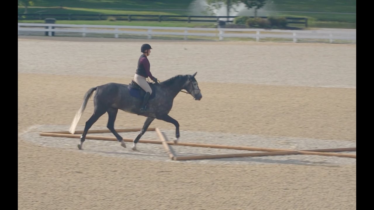 Ronny Riemer: Trotting the Triangle Demonstration