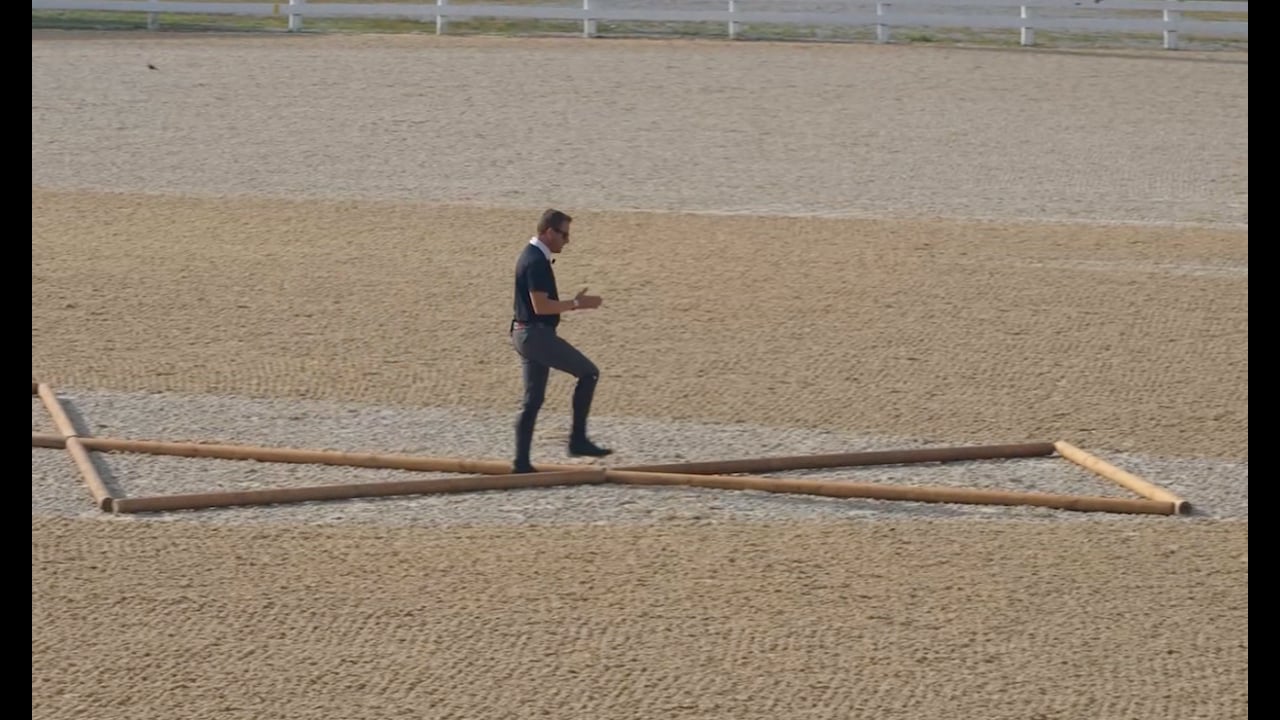 Ronny Riemer: How to Trot the Triangle