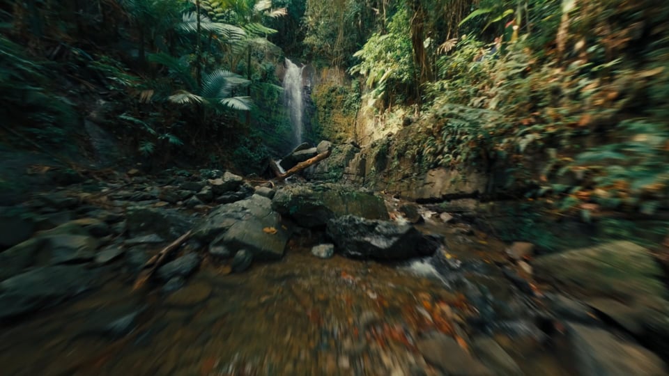 Discover Puerto Rico | Awaken Your Senses :30