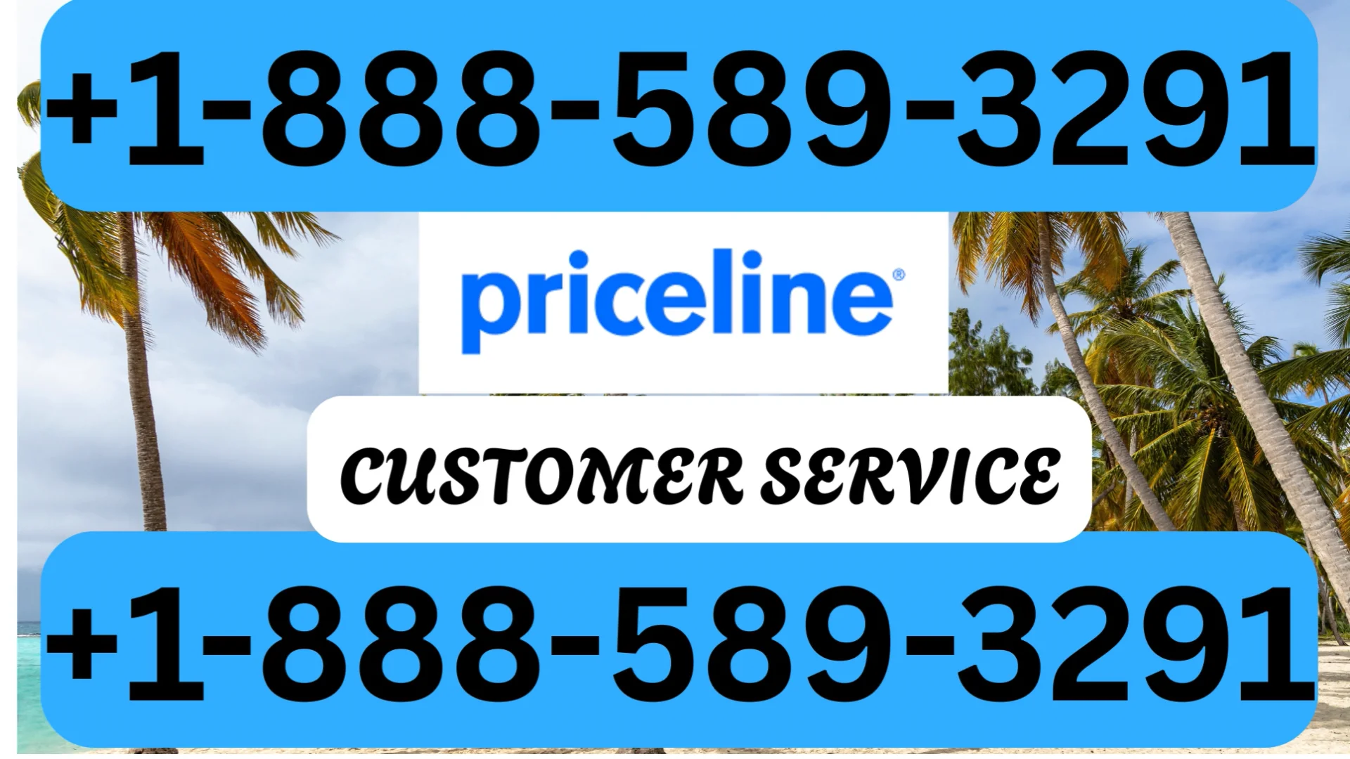 Updated Priceline Customer Service | Detailed Guide to 24/7 Chat, Call & Email Support