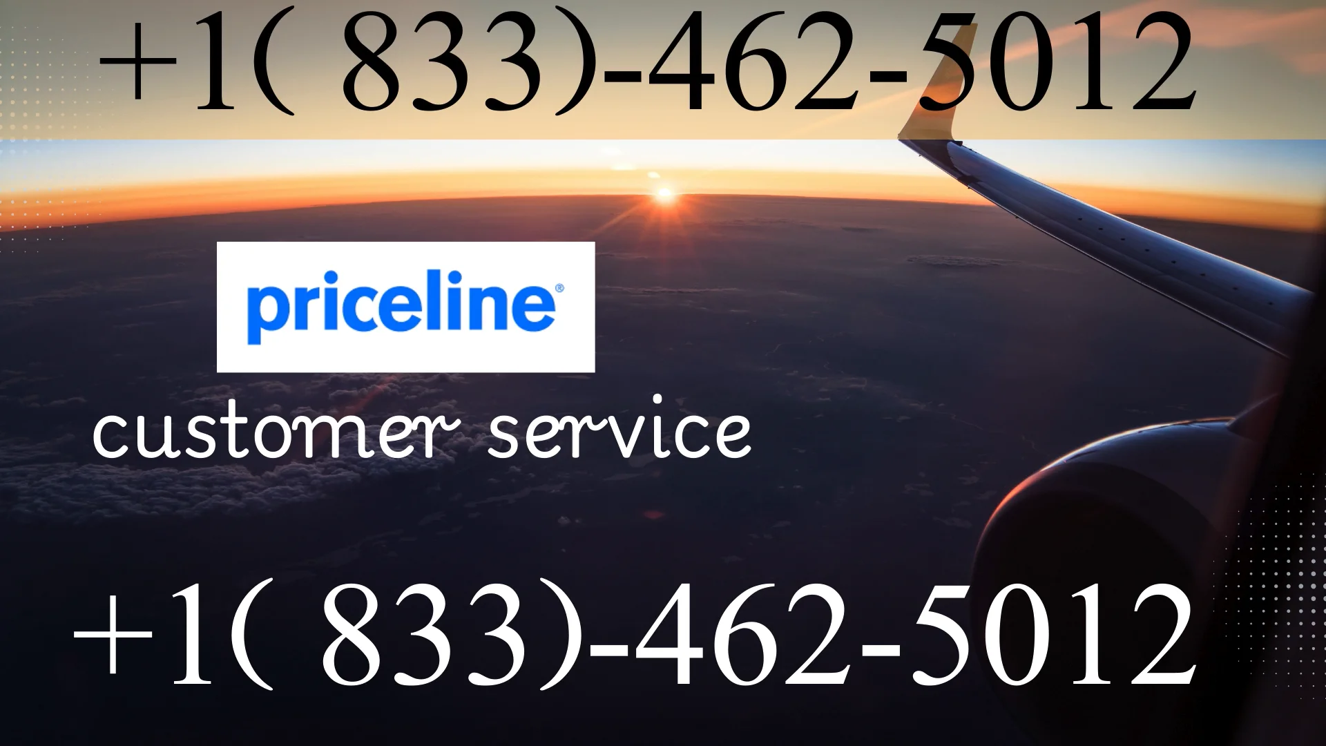 Updated Priceline &reg; Customer Service | Detailed Guide to 24/7 Chat, Call & Email Support