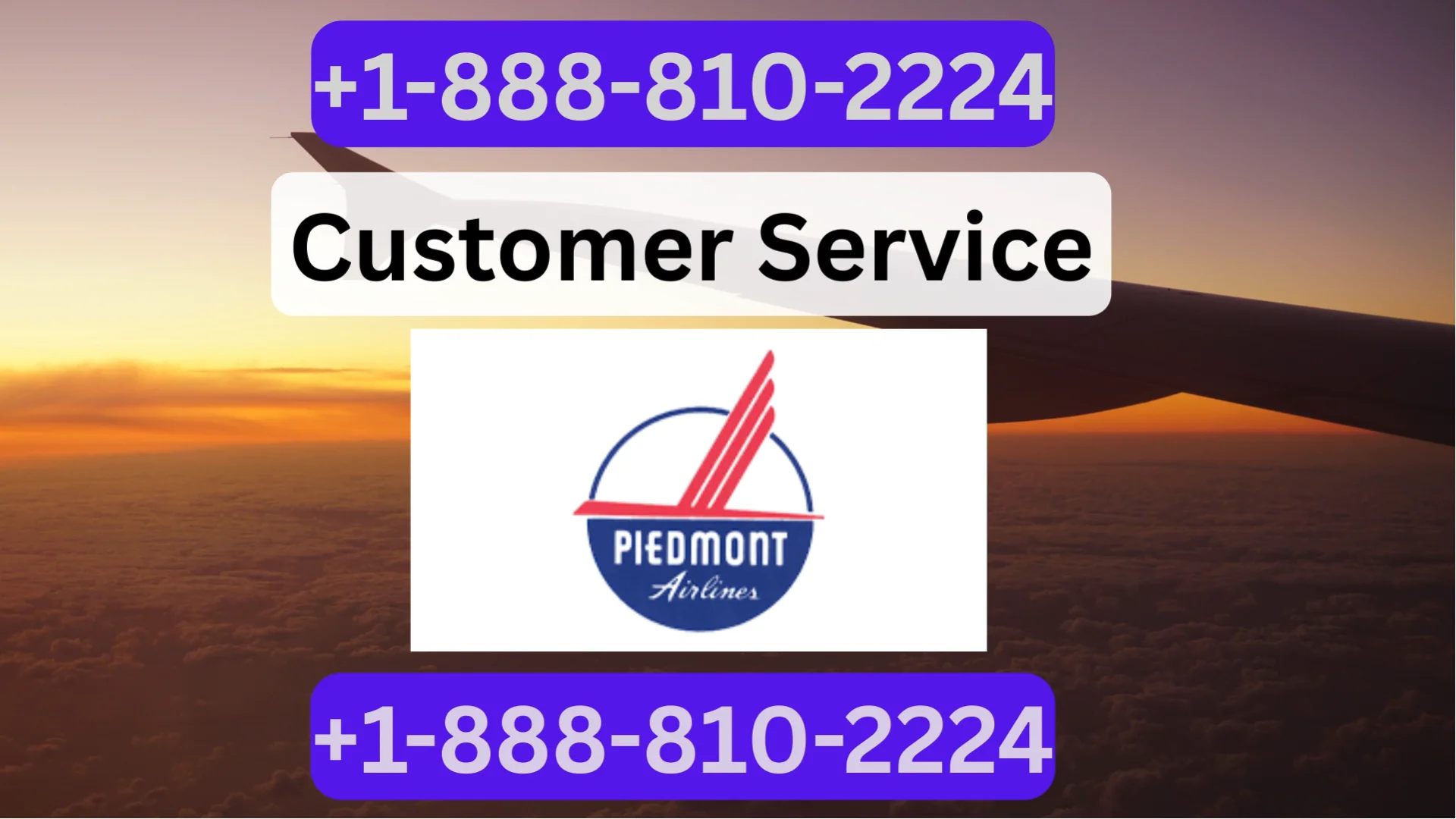 [Official] Piedmont Airlines Customer service Made Simple: Phone, Chat, Email & More Explained
