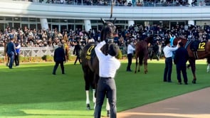 動画サムネイル