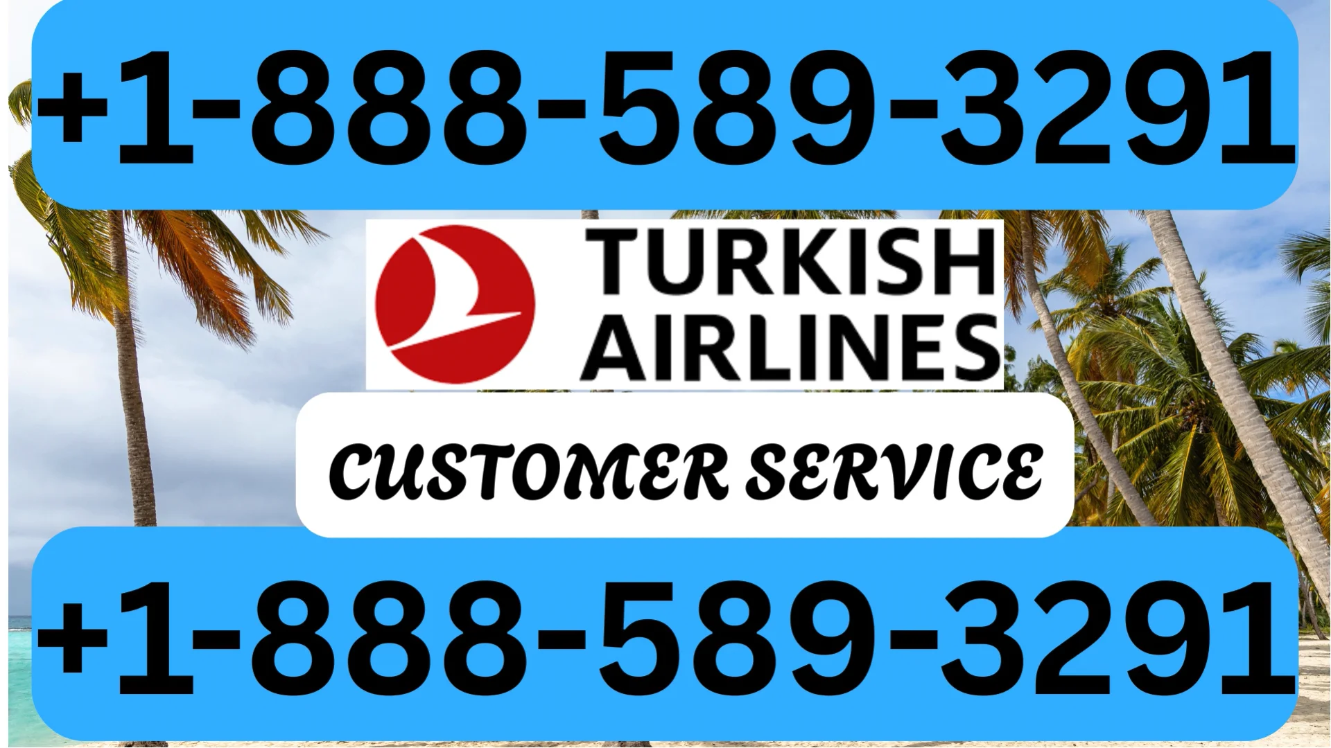 Turkish Airlines&reg; Customer Service Full Guide &ndash; 24/7 Help & Support Instructions
