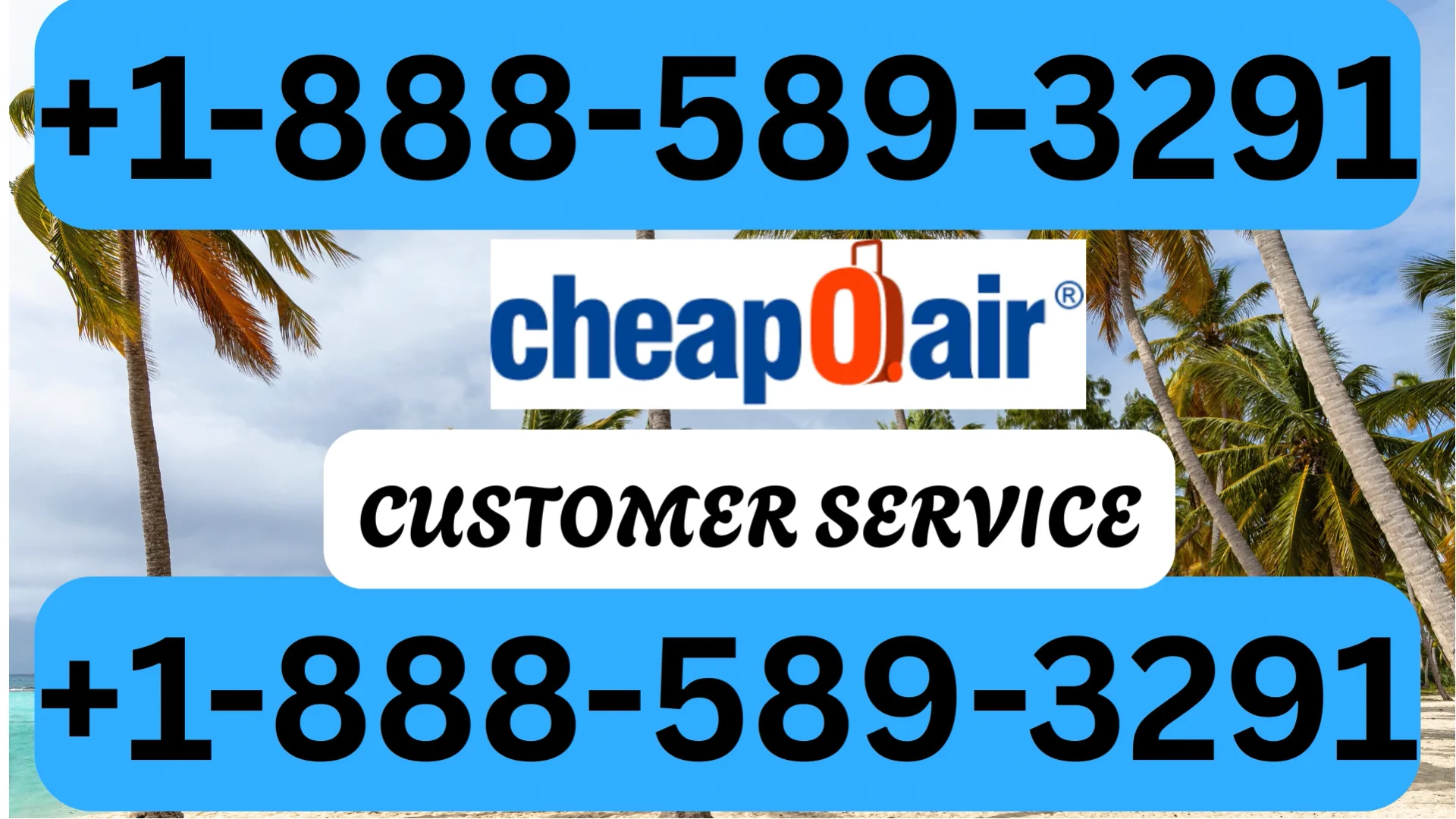 Updated Cheapoair Customer Service | Detailed Guide to 24/7 Chat, Call & Email Support