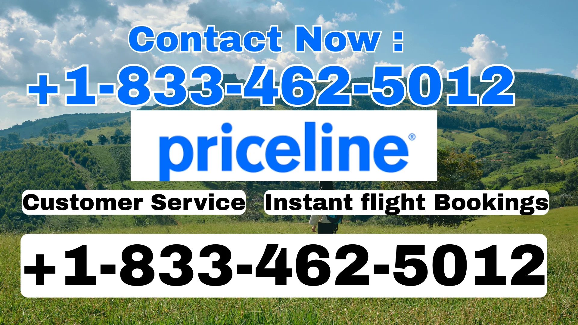 Priceline&reg; Customer Service Complete Guide ➢ Step-by-Step Help & Support 24/7 Priceline