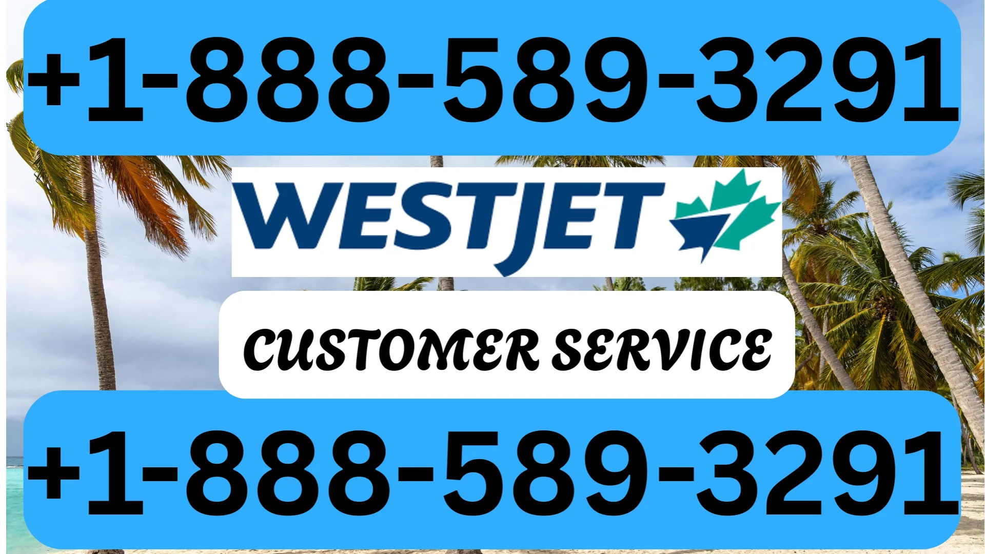 Updated Westjet Airlines&reg; Customer Service | Detailed Guide to 24/7 Chat, Call & Email Support