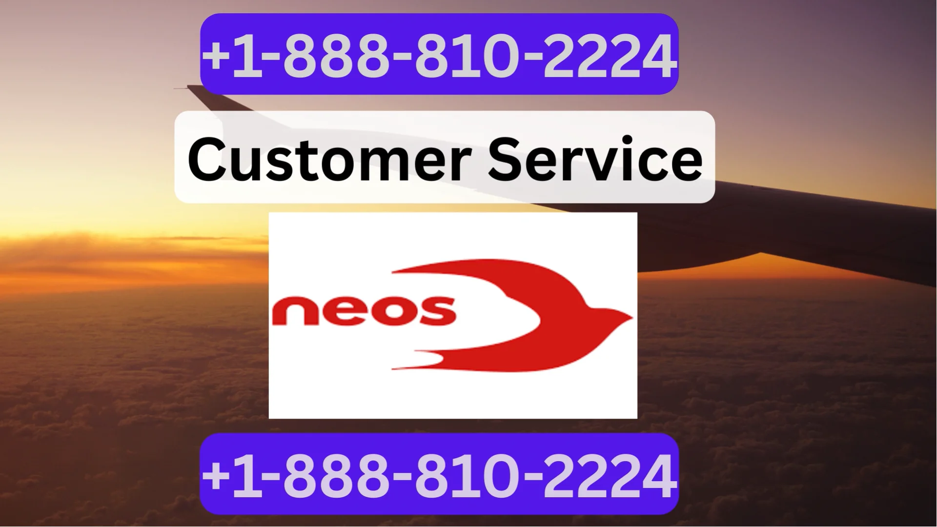 Neos Airlines&reg; Customer Service Updated Manual Guide = Step-by-Step Help & Support 24/7 Neos Airlines