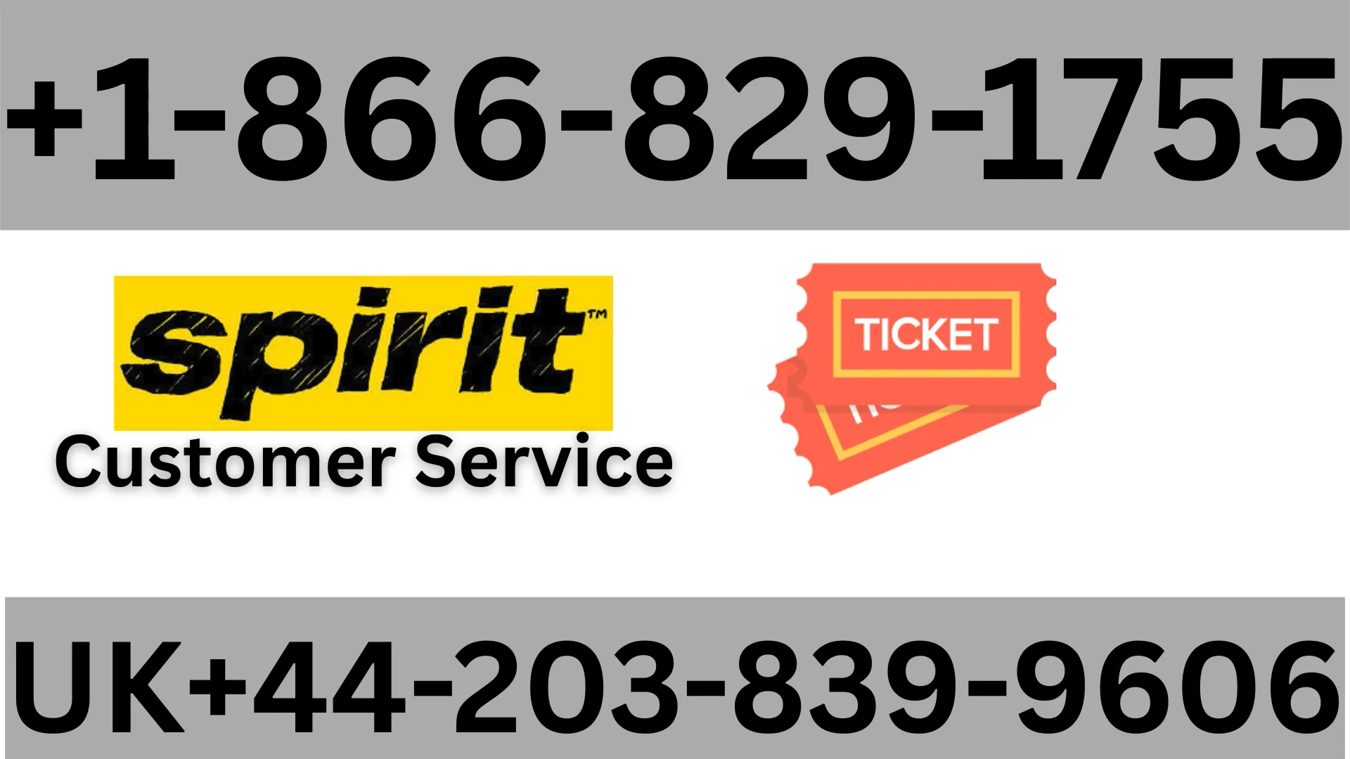 The Complete Guide To Contacting Spirit Airlines&mdash; By Phone, Chat, Email, Or App