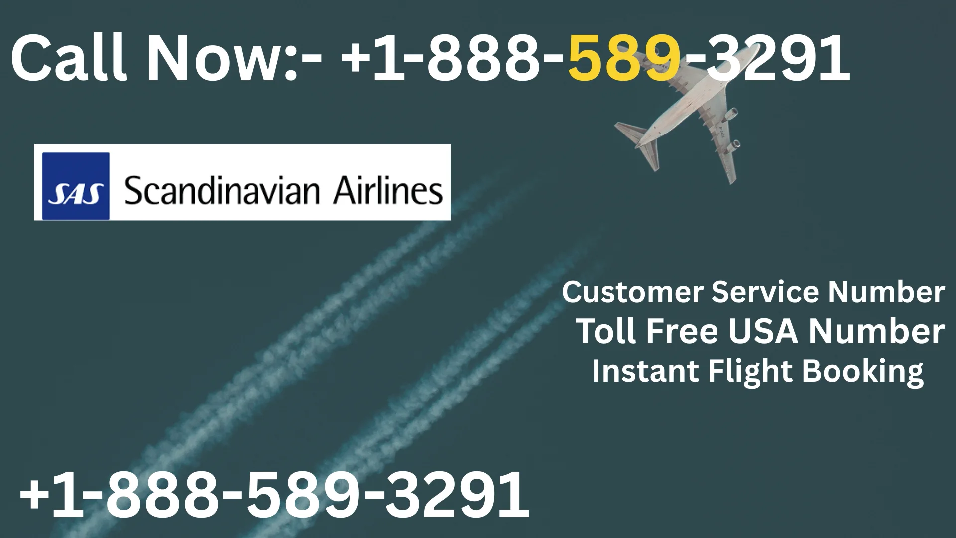 Scandinavian airlines&reg; Customer Service Simple Guide Step-by-Step Help & Support 247 Scandinavian airlines
