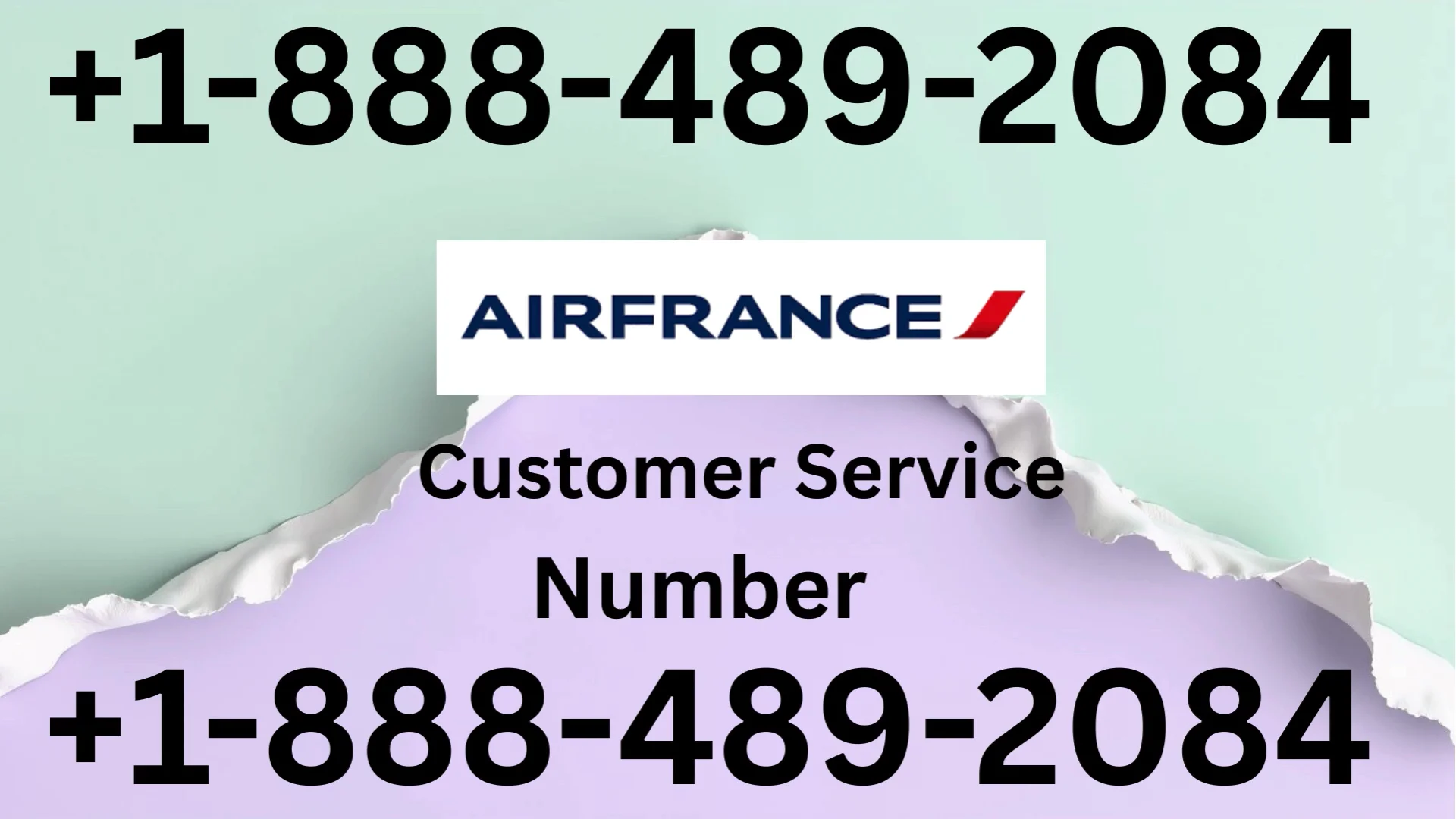 Air France&reg; Customer Service Complete Guide = Step-by-Step Help & Support 24/7 Air France