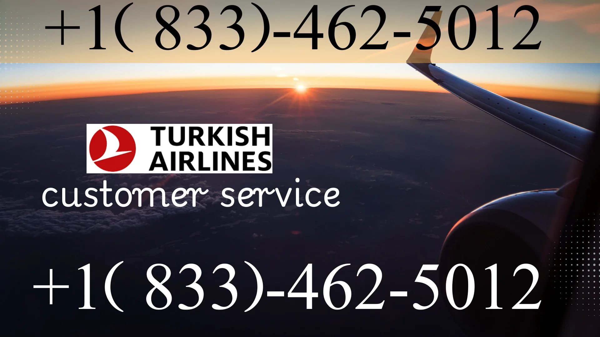 Turkish Airlines &reg; Customer Service Complete Guide = Step-by-Step Help & Support 24/7 Turkish Airlines