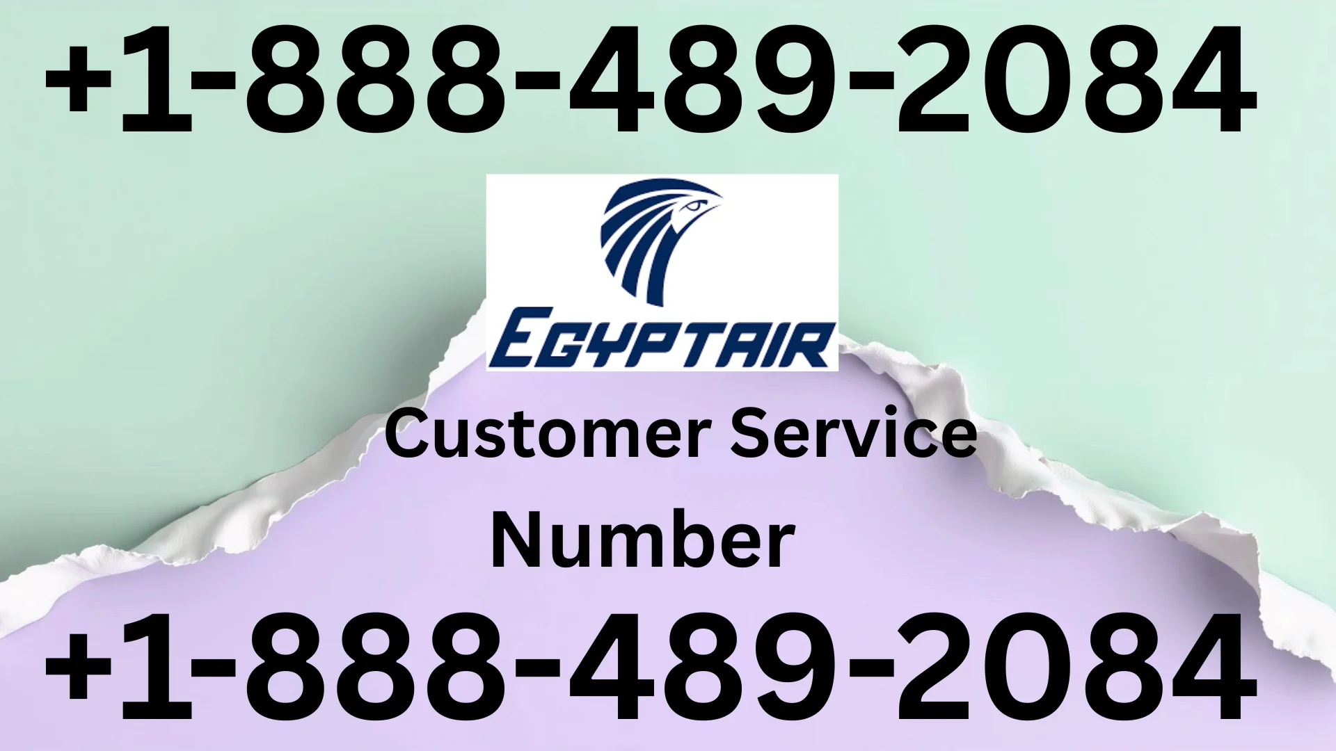Updated EgyptAir Customer Service | Detailed Guide to 24/7 Chat, Call & Email Support