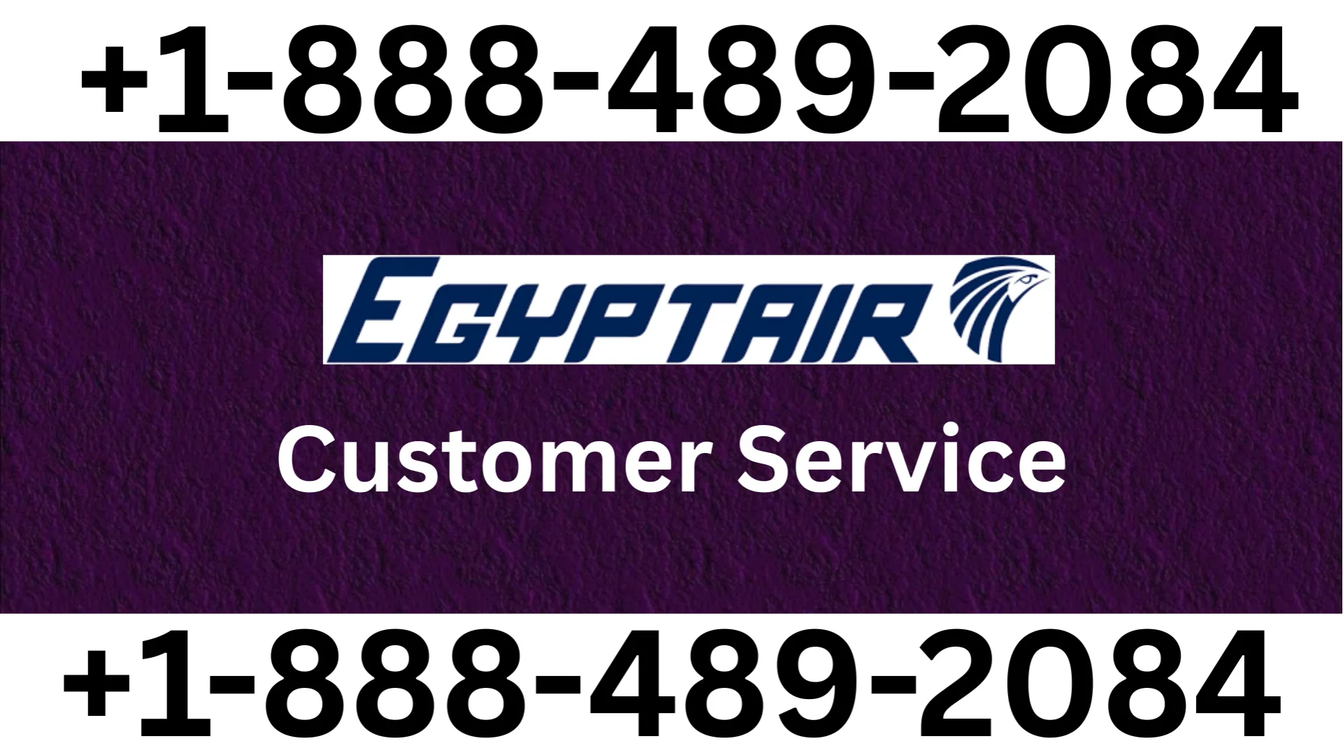 EgyptAir&reg; Customer Service Complete Guide = Step-by-Step Help & Support 24/7 EgyptAir