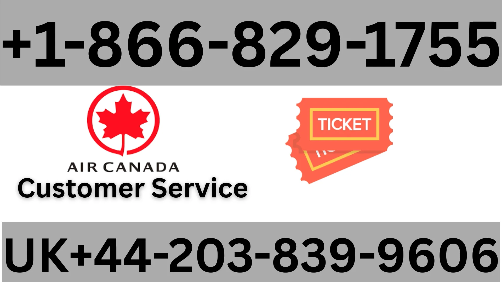 Air Canada&reg; Customer Service Complete Guide ➢ Step-by-Step Help & Support 24/7 Air Canada