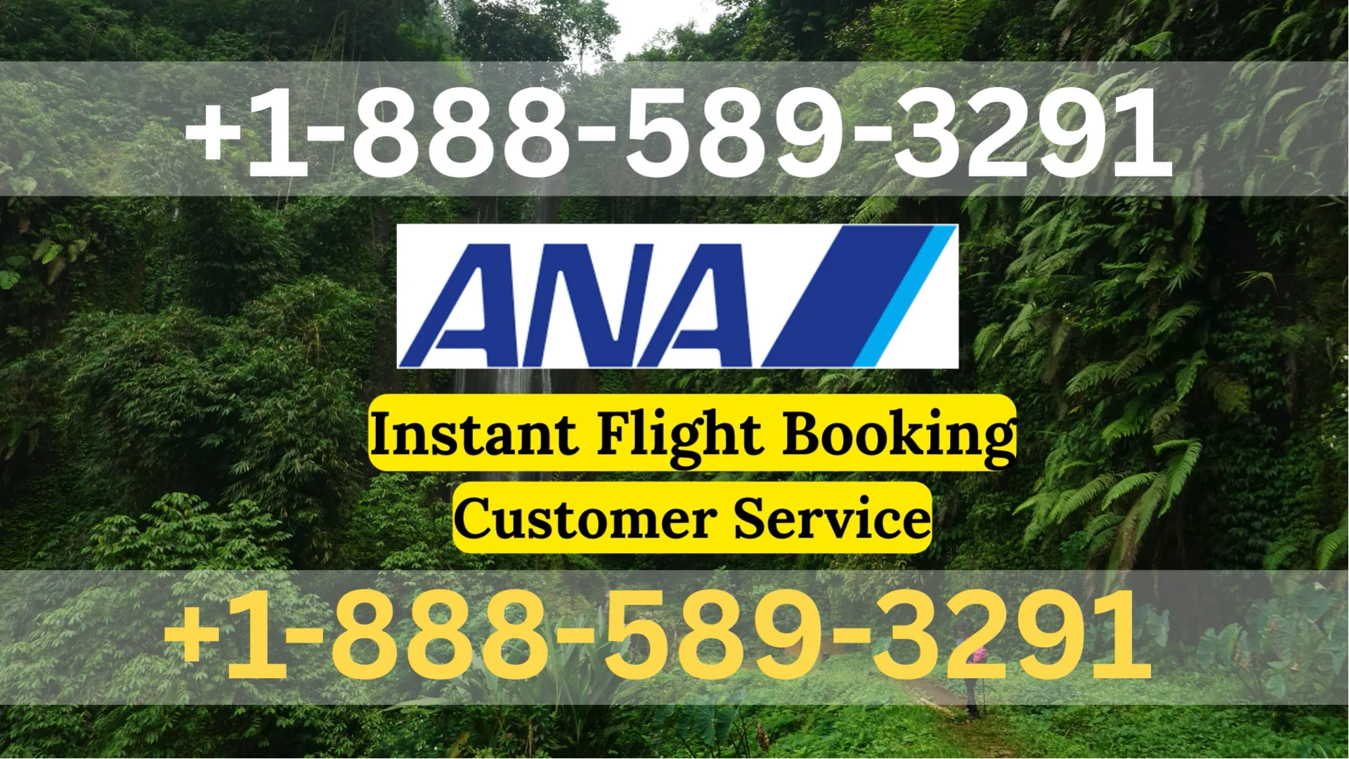 {Official~Support} All Nippon Airways&trade;&reg; Customer Service Simple Guide | Step-by-Step Help & Support Explained