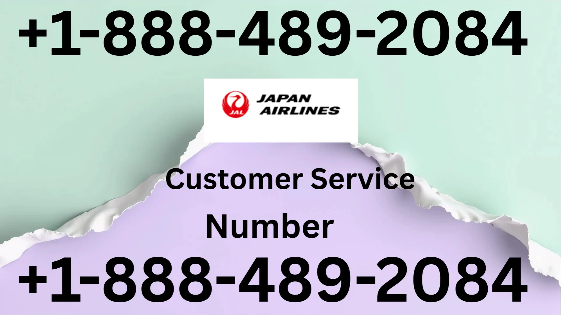 Japan Airlines&reg; Customer Service Complete Guide = Step-by-Step Help & Support 24/7 Japan Airlines