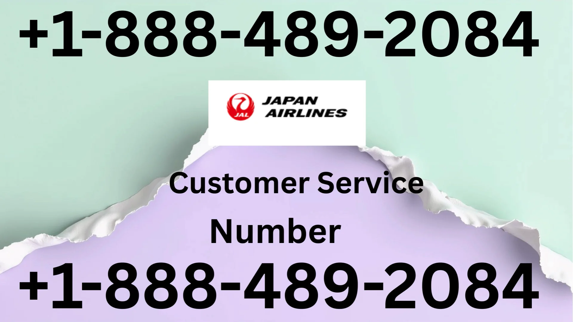 Japan Airlines&reg; Customer Service Complete Guide ➢ Step-by-Step Help & Support 24/7 Japan Airlines