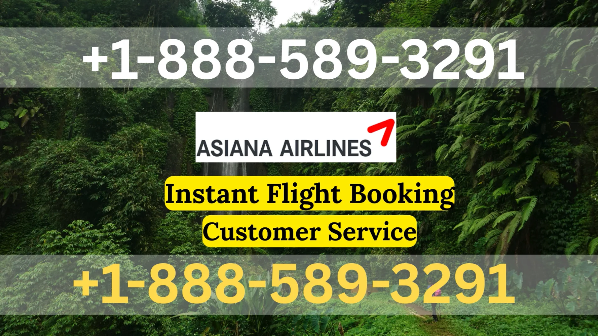 {Official} Asiana Airlines&trade;&reg; Customer Service Simple Guide | Step-by-Step Help & Support Explained