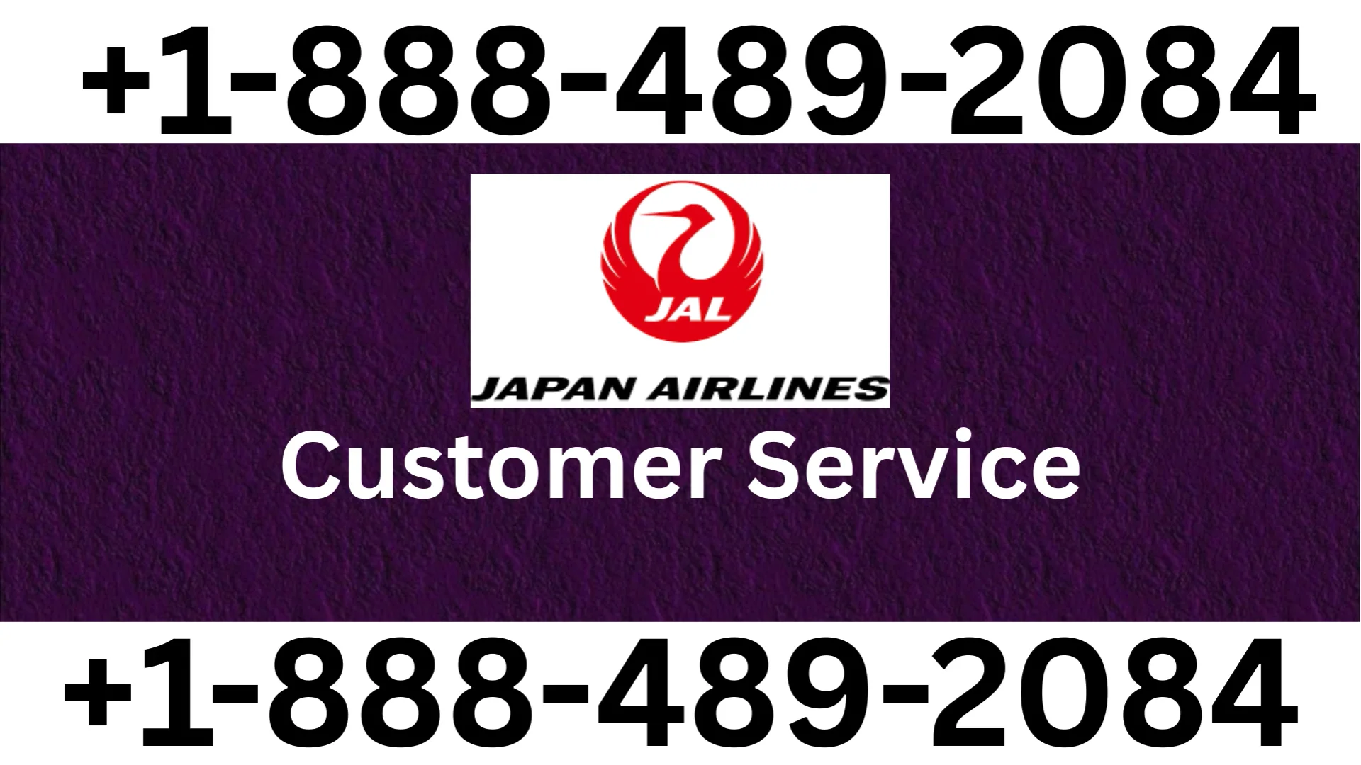 Japan Airlines&trade; Customer Service Complete Guide Step-by-Step Help & Support 247 Japan Airlines