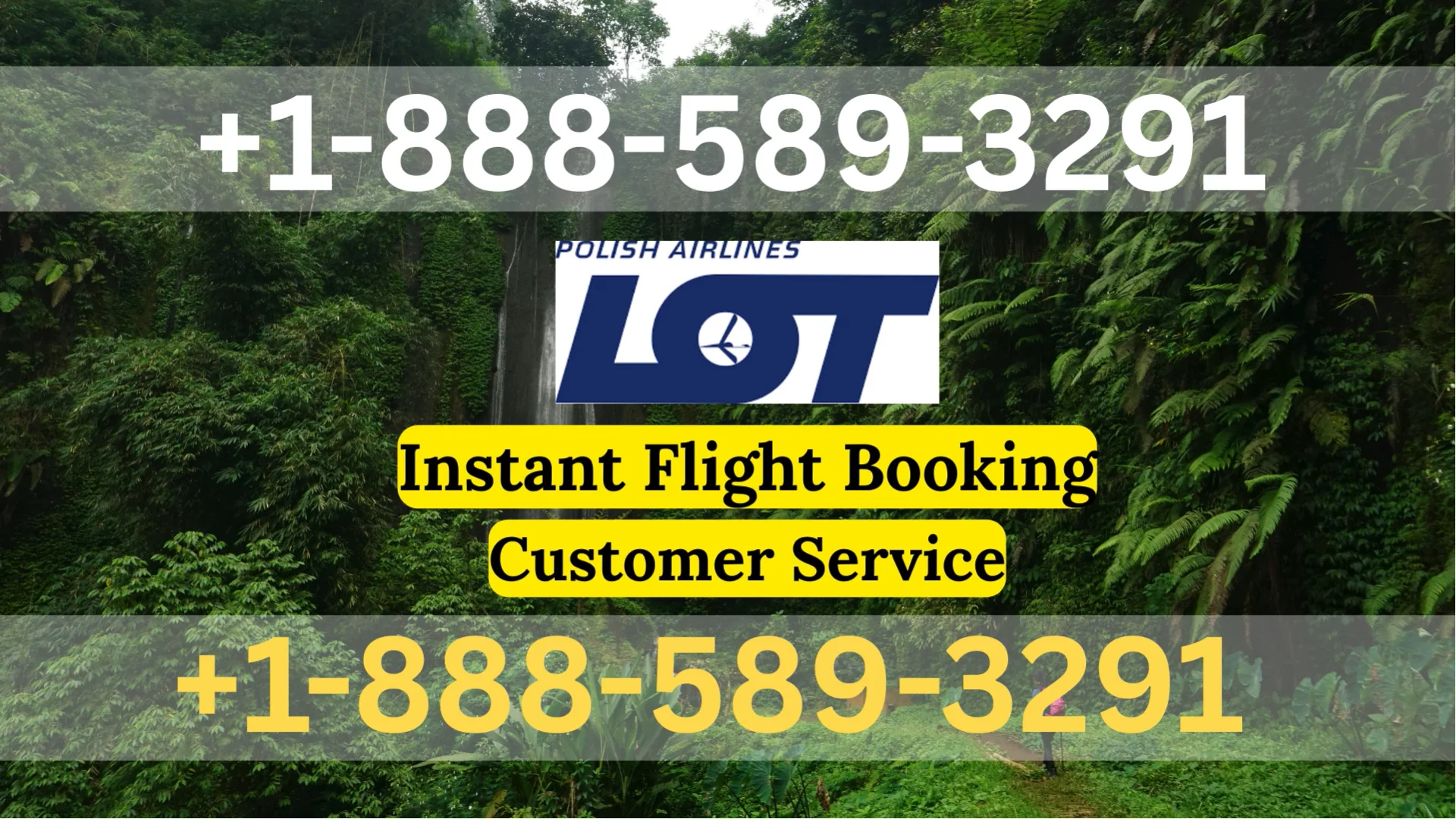 Lot polish Airlines&reg; Customer Service Simple Guide Step-by-Step Help & Support 247 Lot polish Airlines