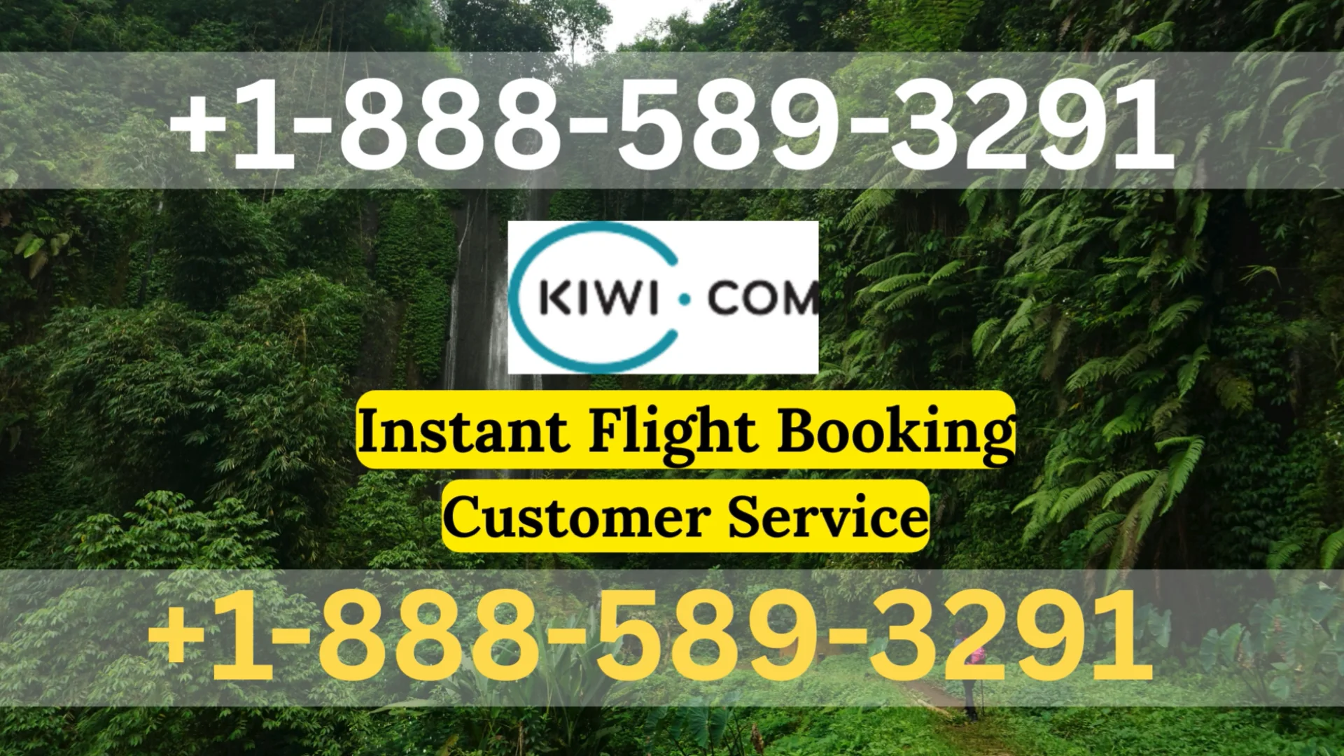 {Official} Kiwi.com&trade;&reg; Customer Service Simple Guide | Step-by-Step Help & Support Explained