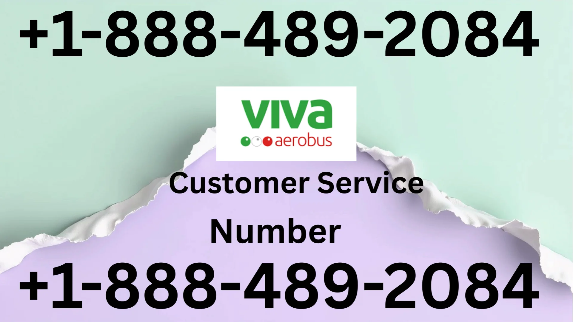 Vivaaerobus &reg; Customer Service Complete Guide ➢ Step-by-Step Help & Support 24/7 Vivaaerobus