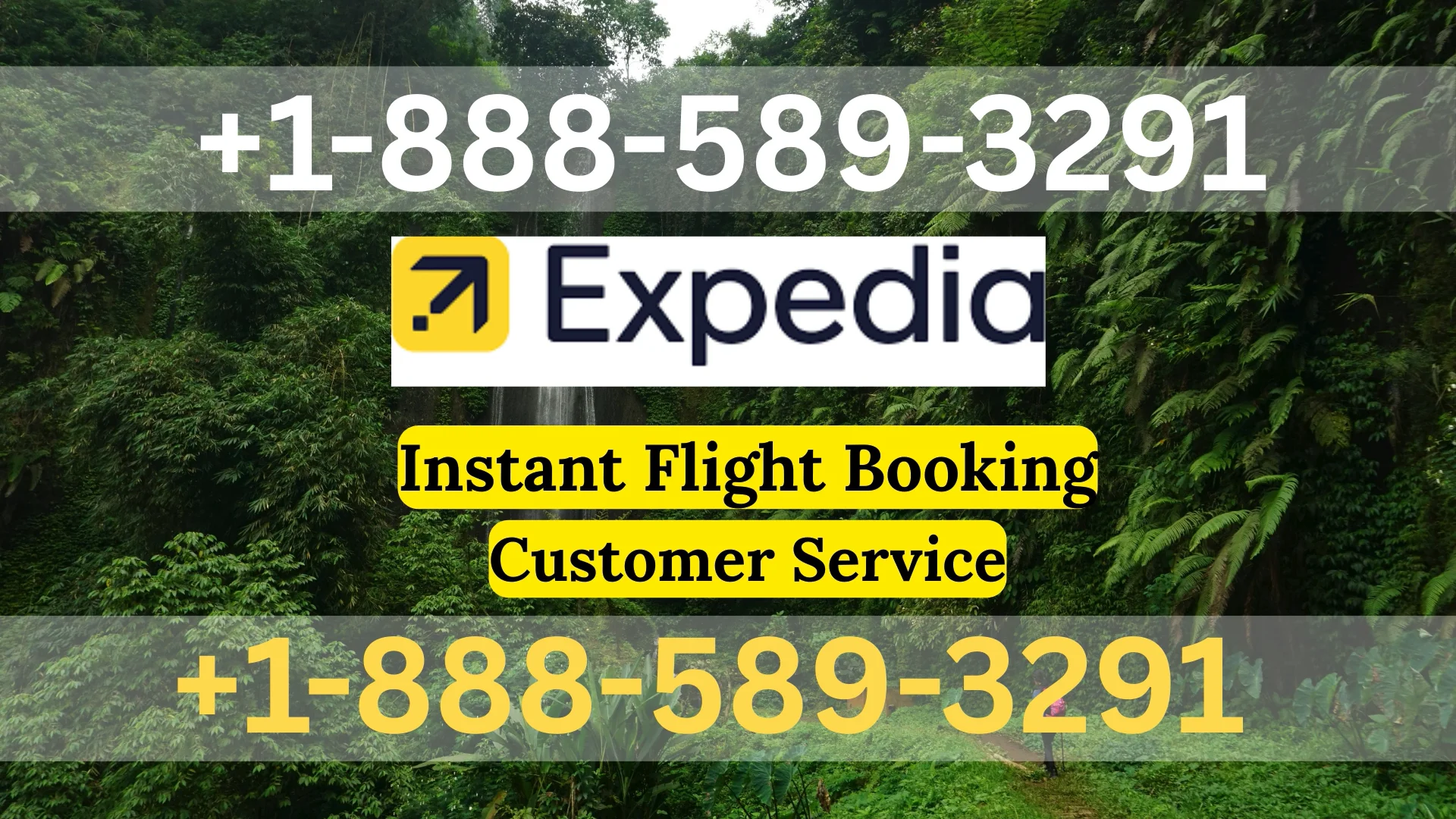 {Connect} Expedia&trade;&reg; Customer Service Simple Guide | Step-by-Step Help & Support Explained